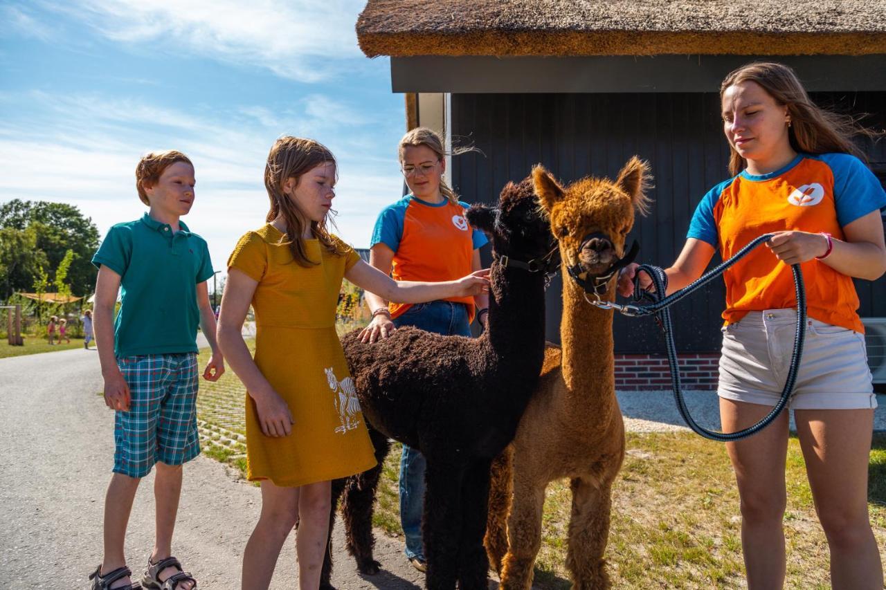 Vakantiepark Europarcs De Ijssel Eilanden Kampen